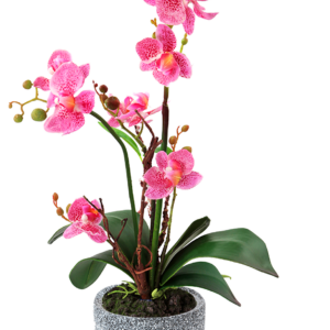 Accesorios de Jardinería