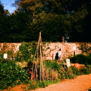 Kits de Jardinería